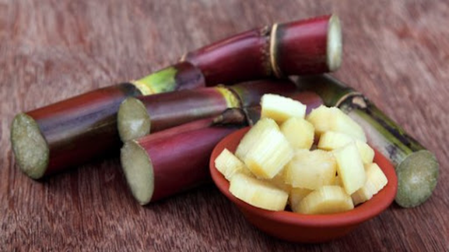 Menyelami Khasiat Tebu untuk Kesehatan dan Kehidupan Sehari-hari